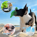 2021 Neues Gummi-Hundespielzeug für Meeresschildkröten